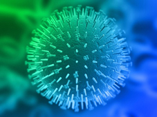 isolierter influenza virus