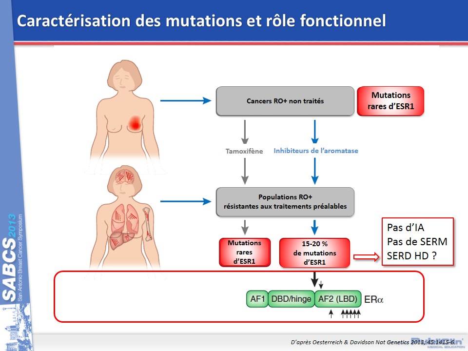 SABCS2013-Carracterisationmutations-role-fonctionnel1