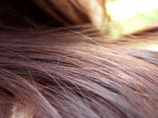fibre de cheveux