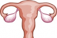col-de-l-uterus