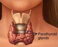 fact_risques_thyroide