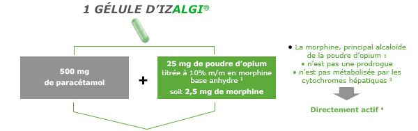 La morphine principale alcaloide de la poudre d'opium : n’est pas une prodrogue , n’est pas métabolisée par les cytochromes hépatiques